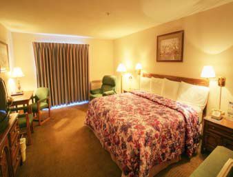 Hotel Western Center